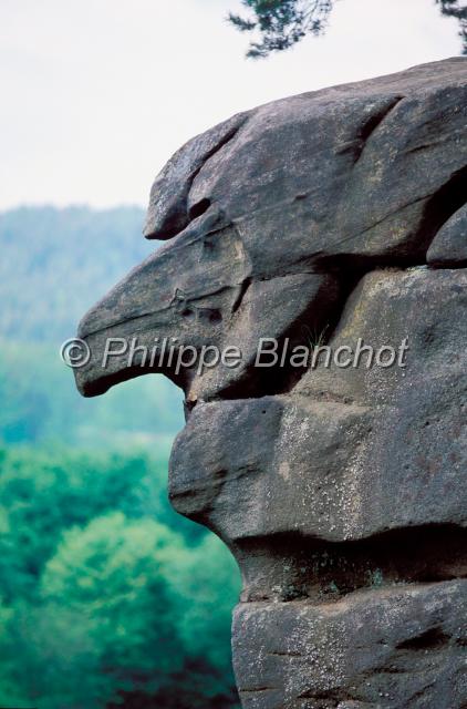 pologne sud 12.JPG - Rocher La Sorcière, CzarounicaRéserve PrzyrodySkamieniale Miasto CiezkowicePetite Pologne, MalopolskaPologne